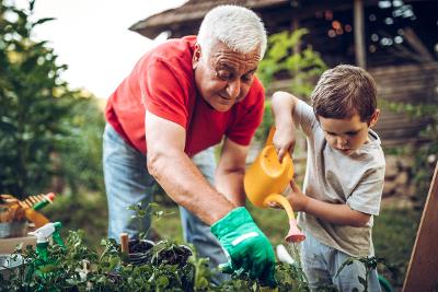 Gardening Gardening